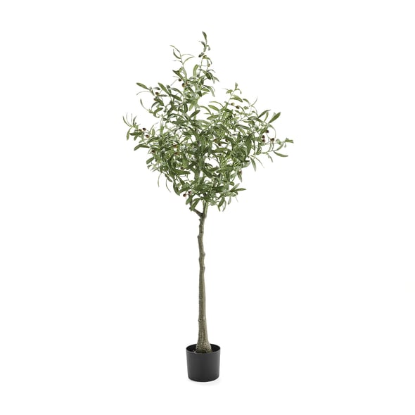 Kunstig plante EVERGREEN Oliventre, H1700 mm, 1-pk.