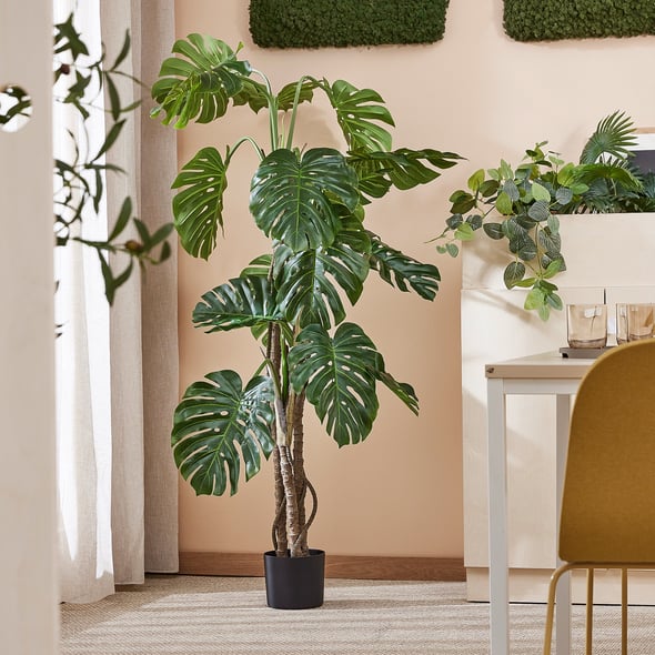 Kunstig plante EVERGREEN Monstera, H1800, 1-pk.