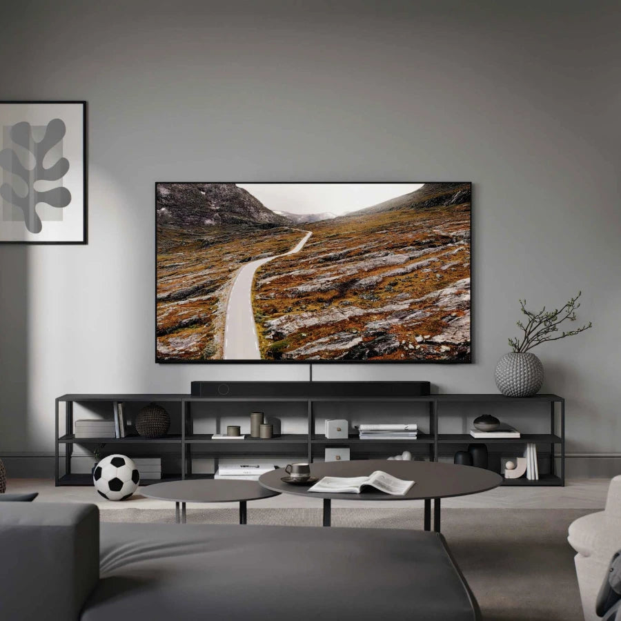 Samsung 65" 4K QLED TV inkl stativ