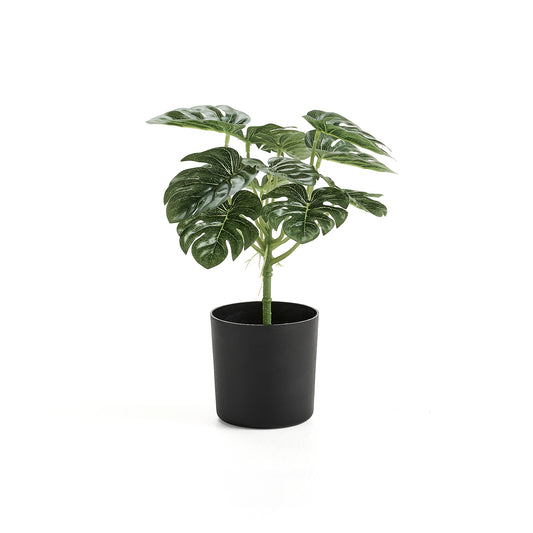 Kunstig plante EVERGREEN, monstera, H250 mm, 1-pk.