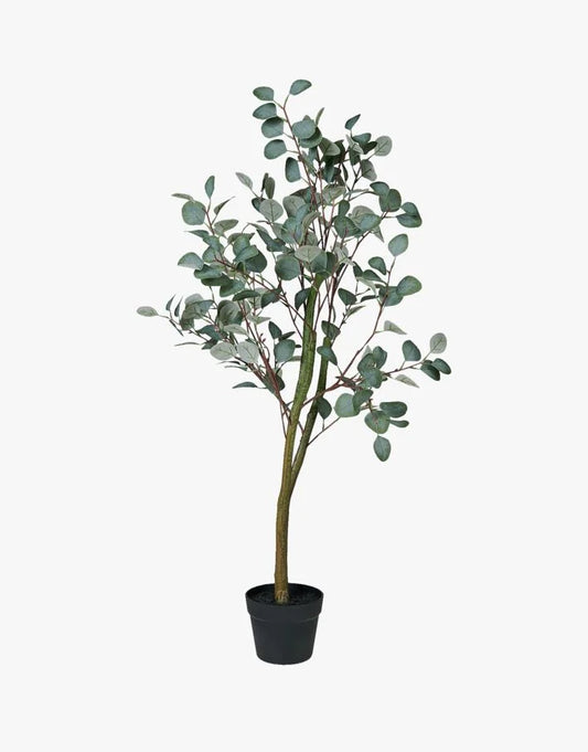 Plante grønn - 55x50x150 cm