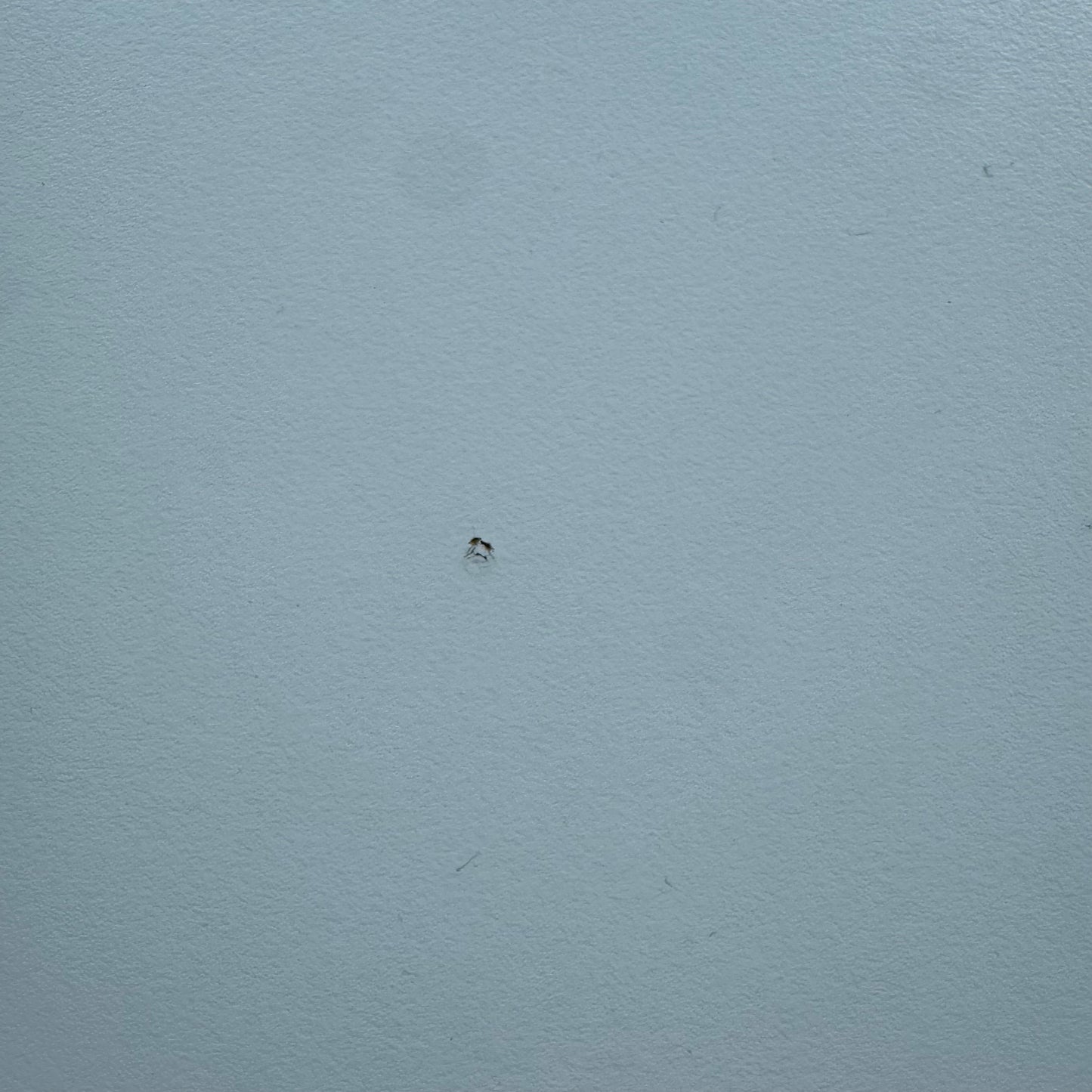 IKEA Galant skrivebord, 160x80cm