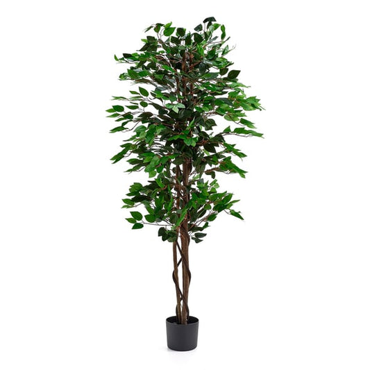 Kunstig plante EVERGREEN Benjaminfikus, H1600, 1-pk.