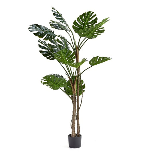 Kunstig plante EVERGREEN Monstera, H1800, 1-pk.