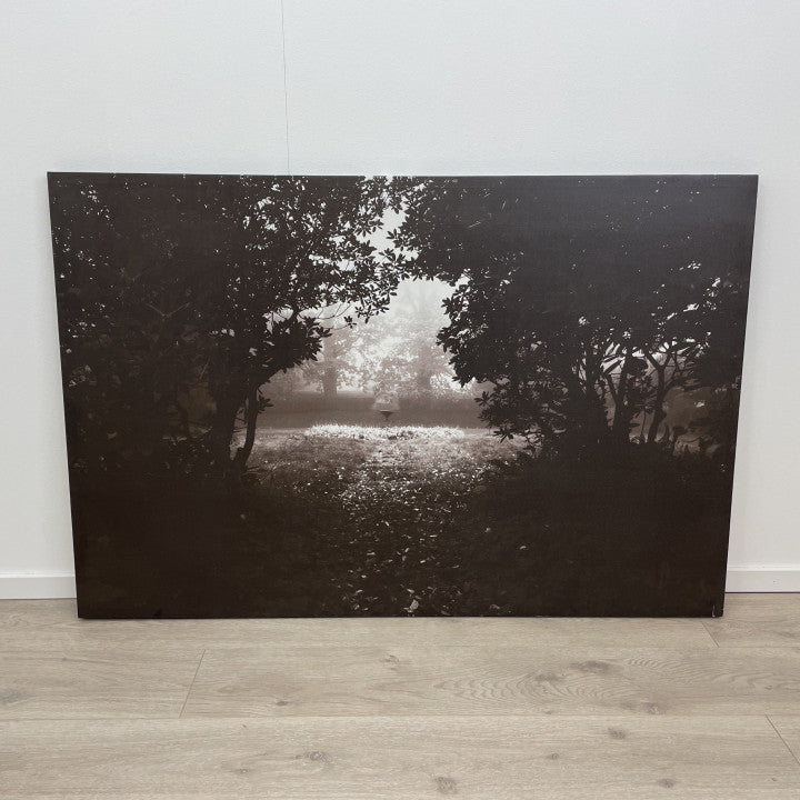 Bilde med skogsmotiv i sort og hvitt