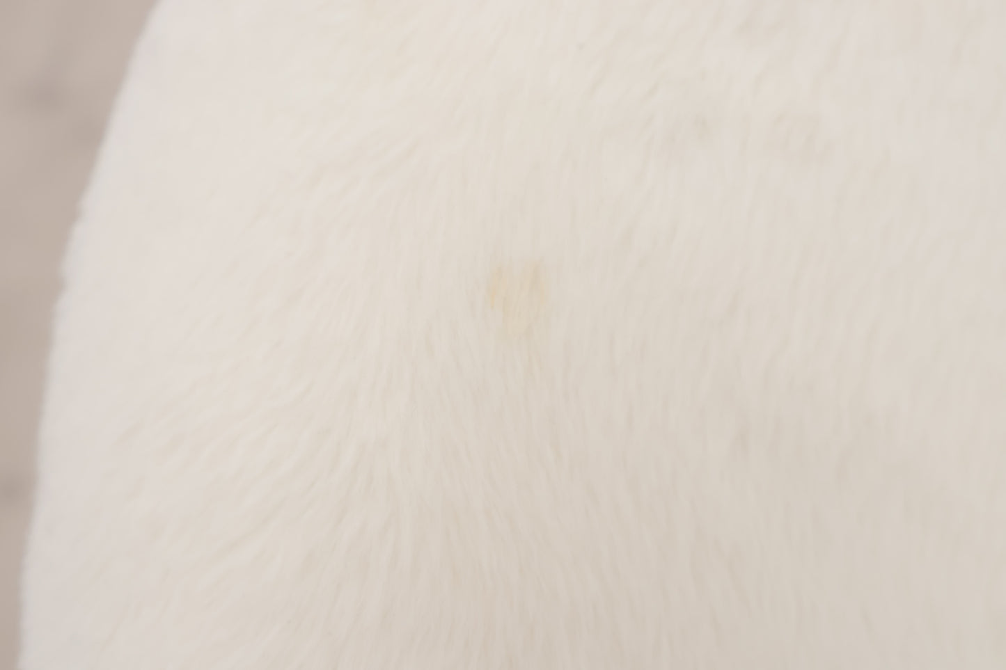 Nyrenset | Hvit Theodore loungestol med sorte bein