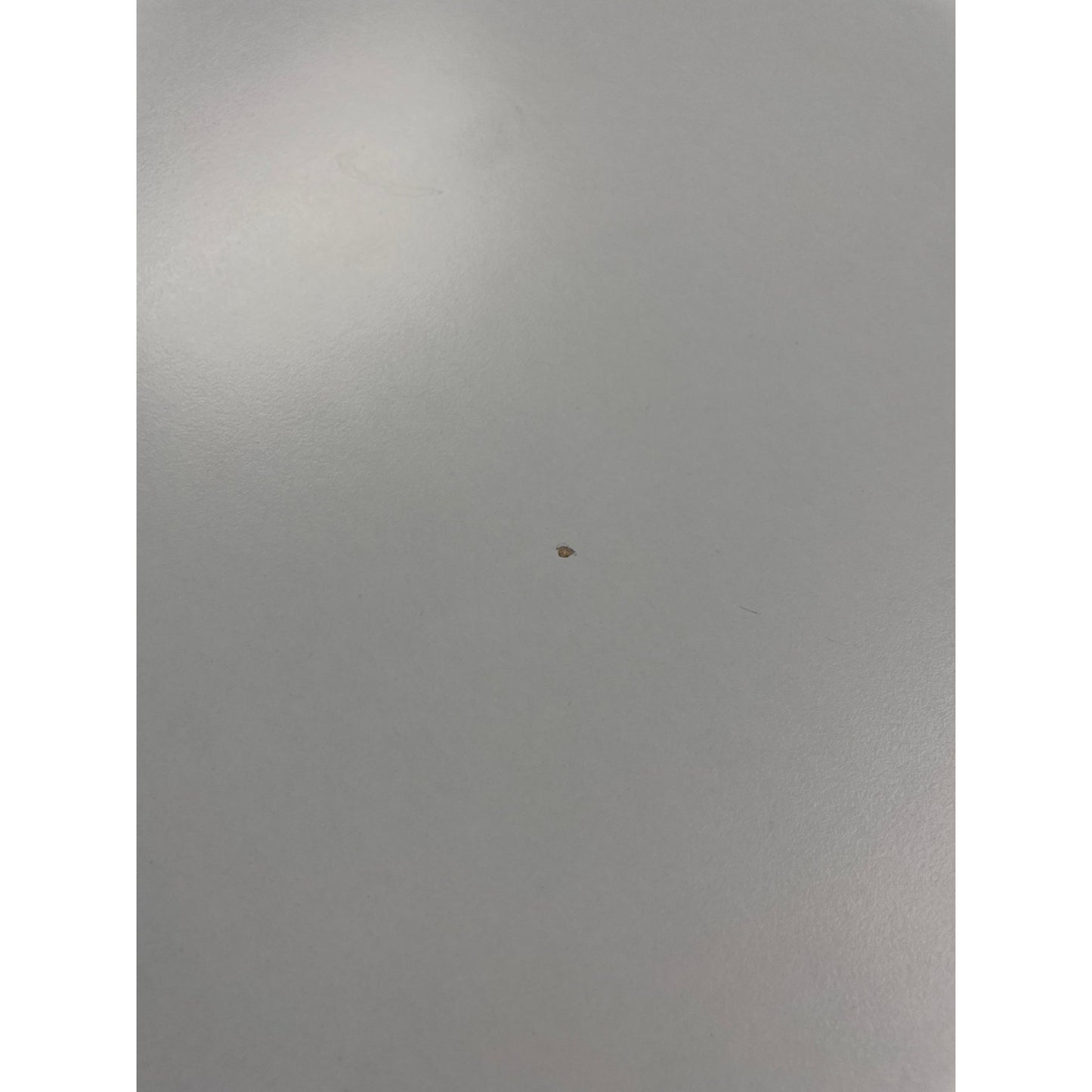 Techo møtebord, hvit laminat, 200x90 cm