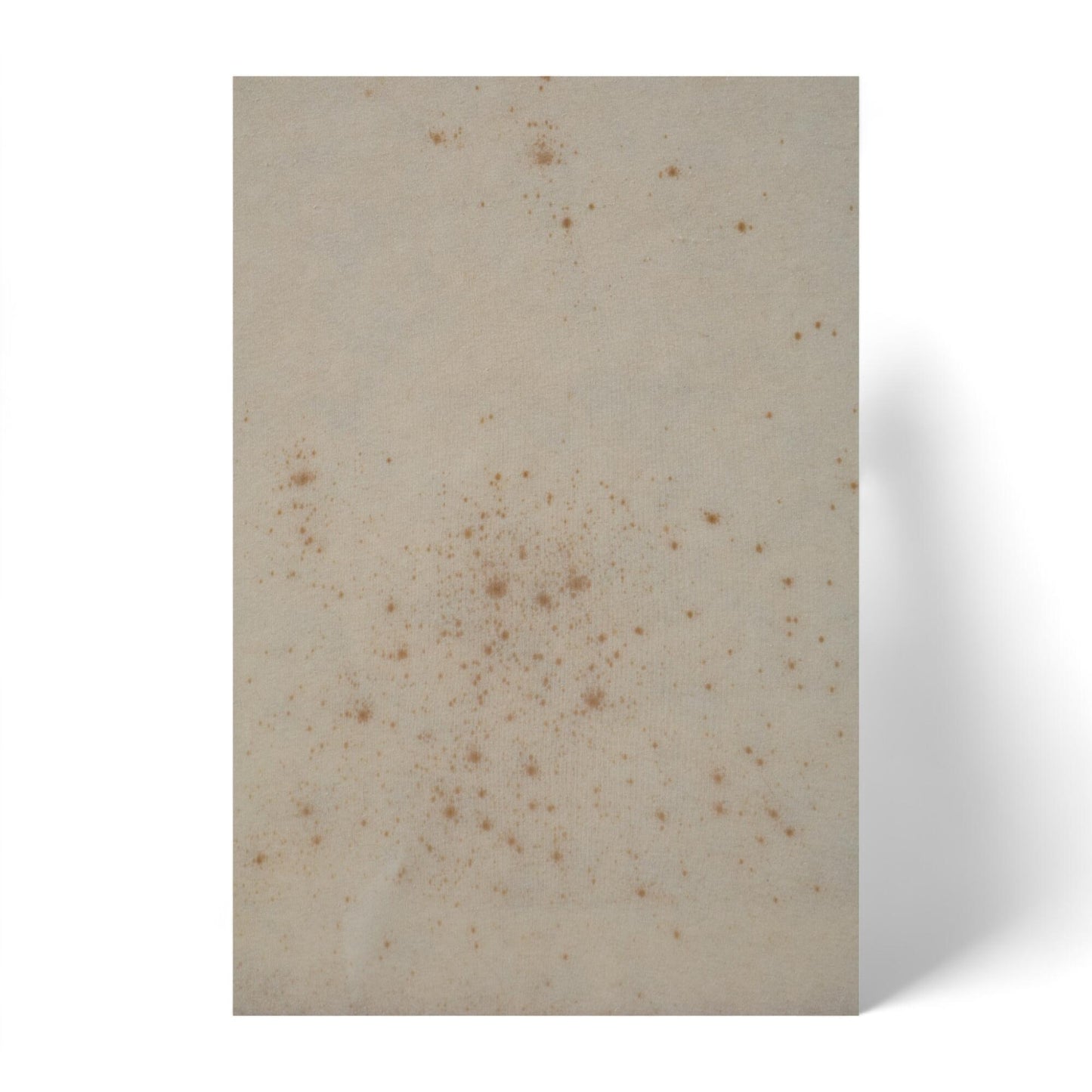 Nyrenset | Beige Svane seng 200x150cm