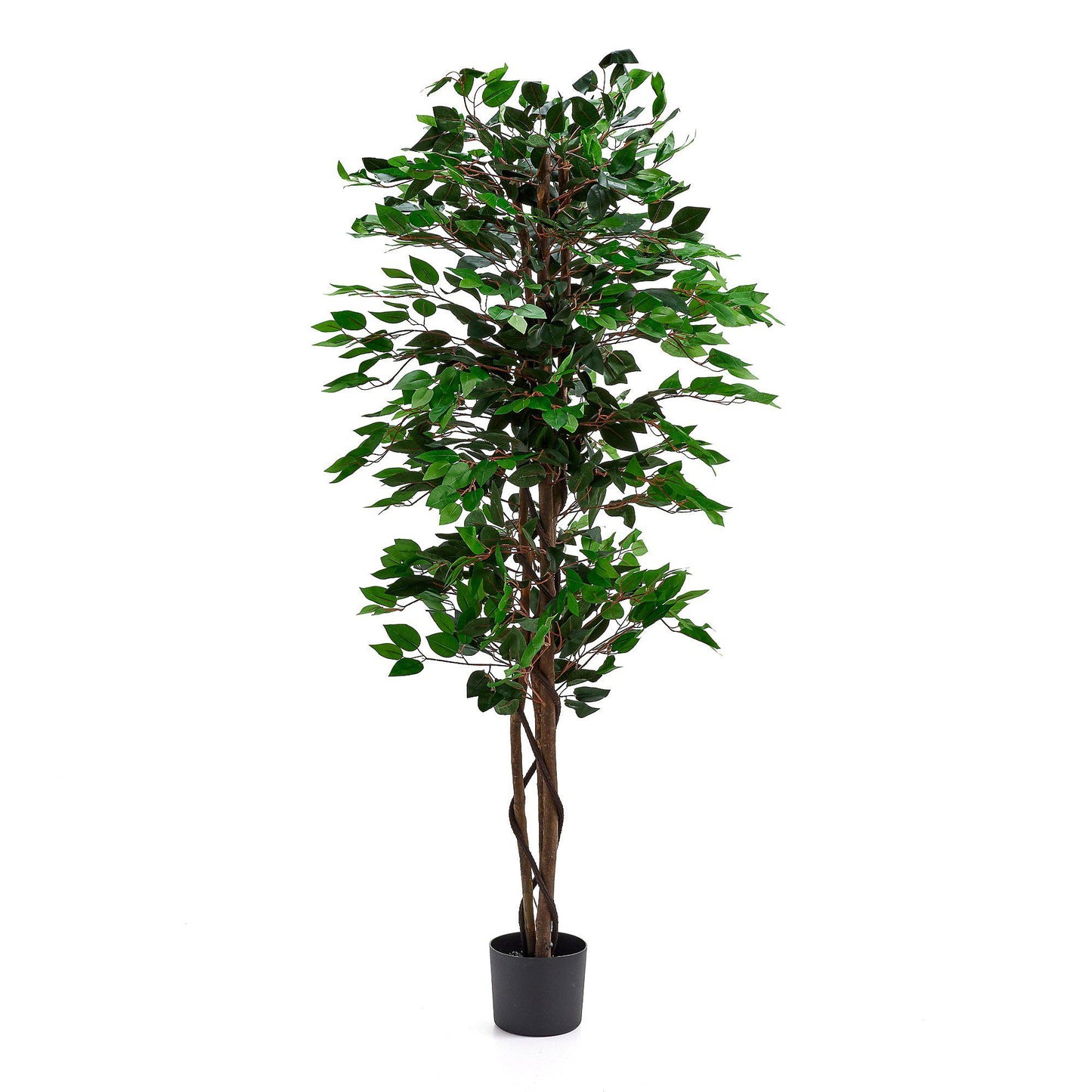 Helt nytt | Kunstig plante EVERGREEN fra AJ-Produkter, Benjaminfikus, H160cm