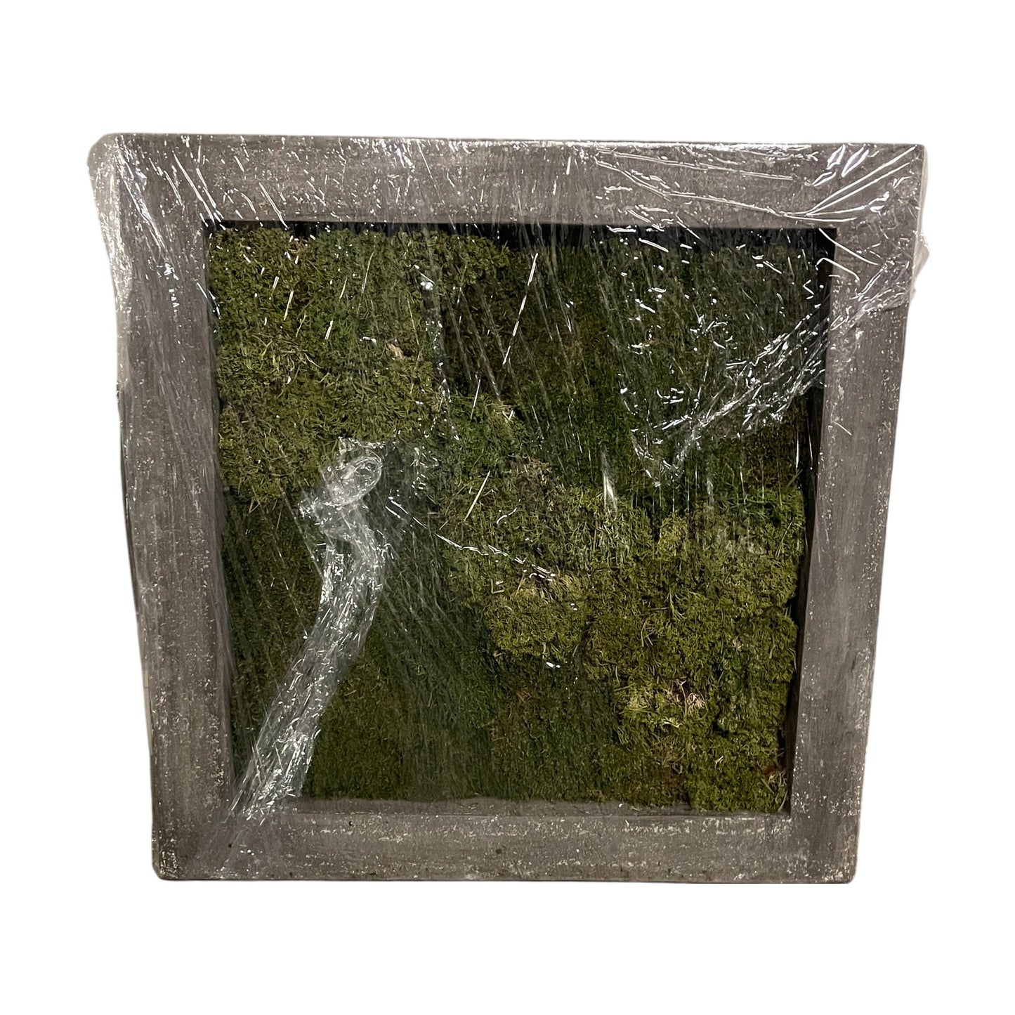 Mosebilder for innredning, stort