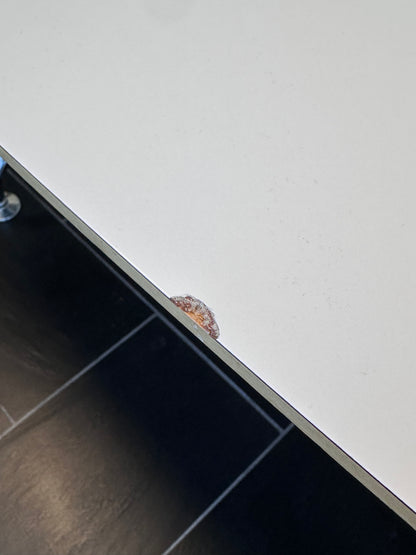 Møtebord i hvit laminat, 210x110 cm