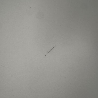 IKEA Billsta bord, Ø118