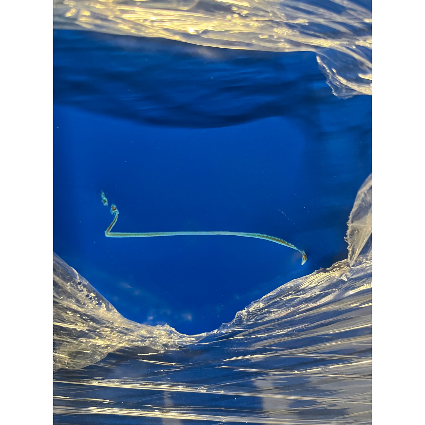 Garderobeskap CLASSIC, benstativ, 3 seksjoner, H1940 B1200 D550 mm, blå fra AJ Produkter