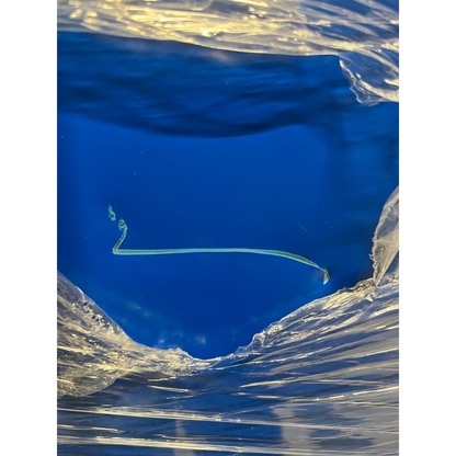 Garderobeskap CLASSIC, benstativ, 3 seksjoner, H1940 B1200 D550 mm, blå fra AJ Produkter