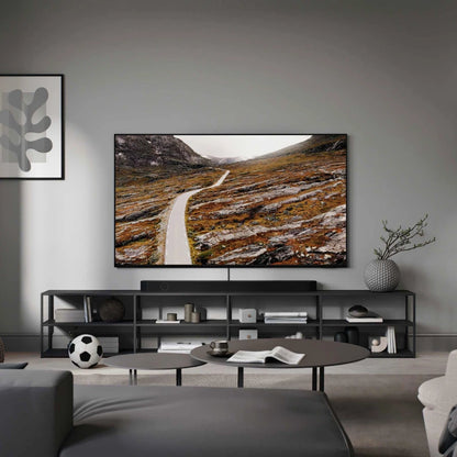 Samsung 65" 4K QLED TV inkl stativ