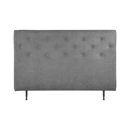 Asleep Venus Sengegavl