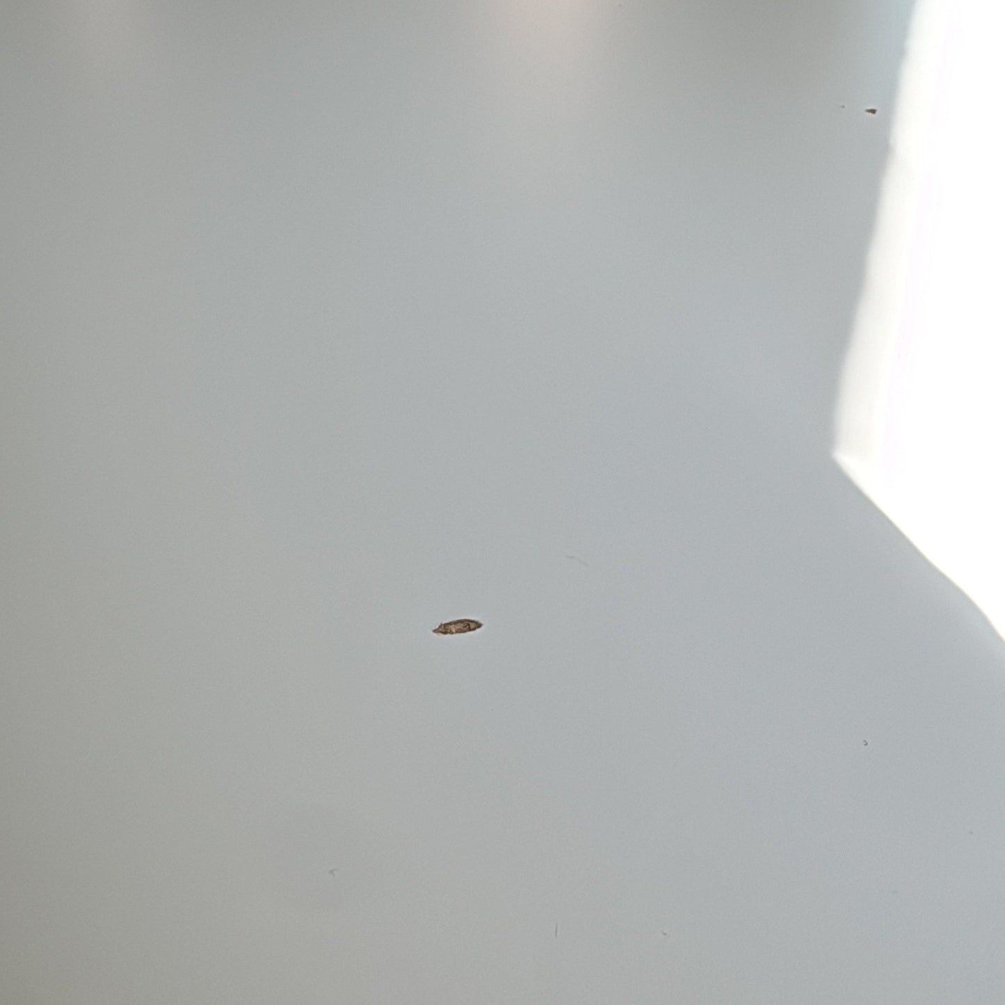 (420x160) Vitra WorKit møteromsbord i hvit