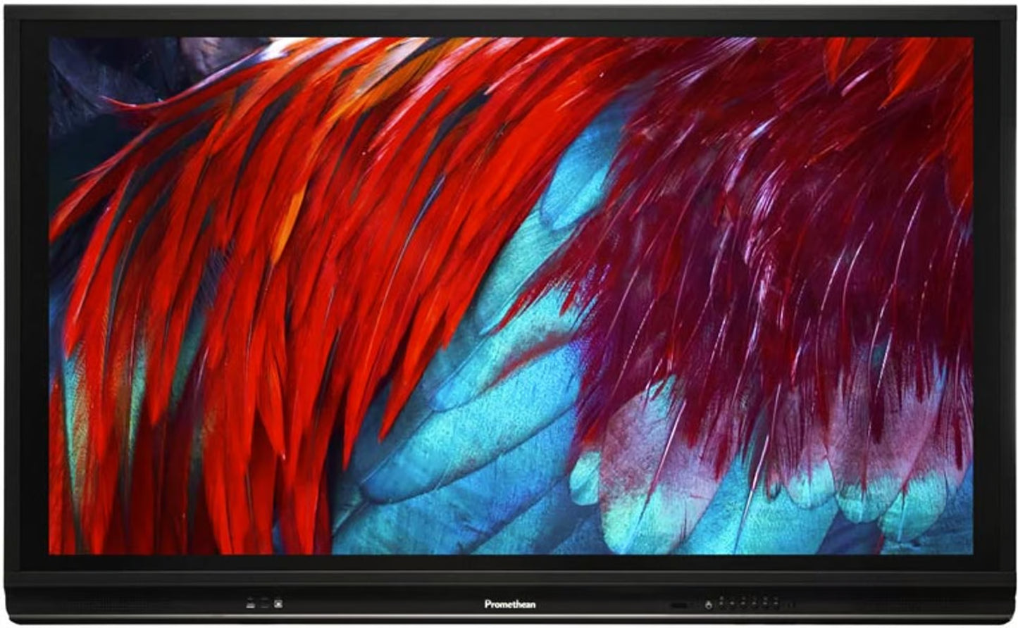 Promethean Activpanel 75" 4K med AP6-75A-4K