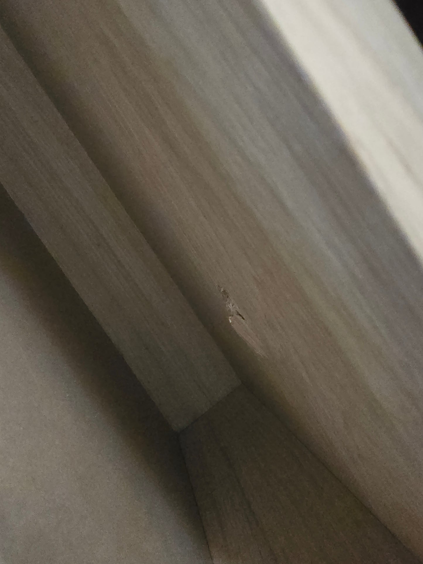 Olea Sofabord lav modell, eik, 70x130x40 cm