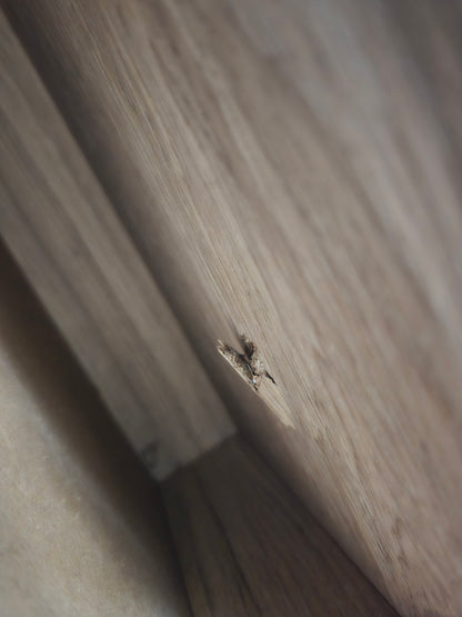 Olea Sofabord lav modell, eik, 70x130x40 cm