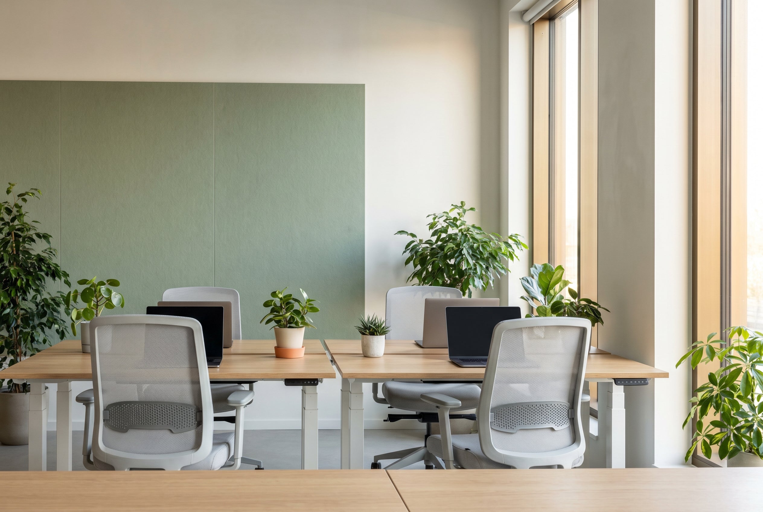 Nyinnredet, bærekraftig kontor med planter og lyst tre